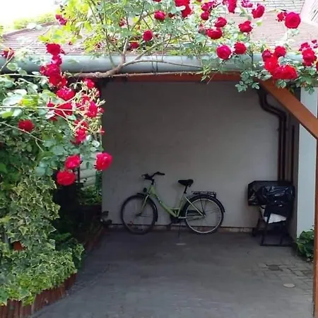 Faludi Vendeghaz Σπίτι διακοπών Vonyarcvashegy