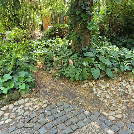 Faludi Vendeghaz Vonyarcvashegy