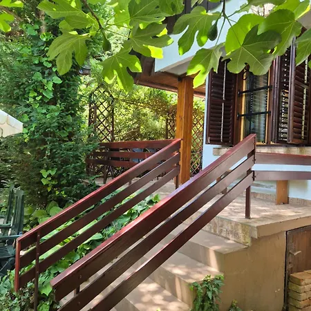 Faludi Vendeghaz * Vonyarcvashegy